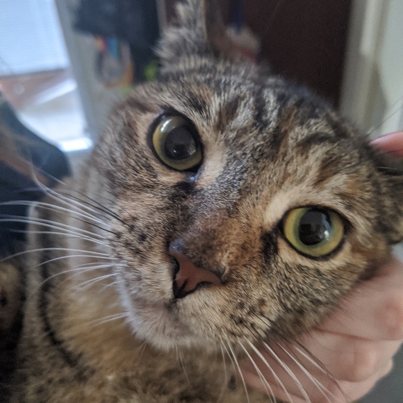 Meet your Posher, Laura - Picture 1 of 1